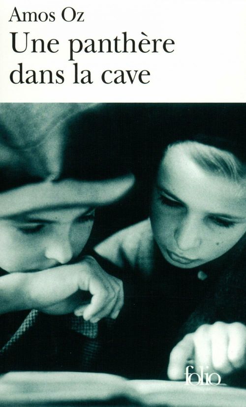 Couverture ebook de Une panthère dans la cave, de Amos Oz