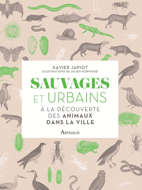 ebook cover of Sauvages et Urbains. A la découverte des animaux de la ville, by Xavier Japiot, Julien Norwwood