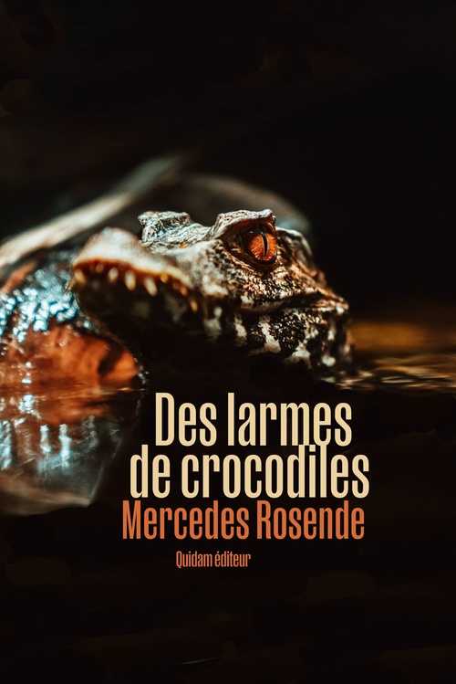 ebook cover of Des larmes de crocodiles, by Mercedes ROSENDE
