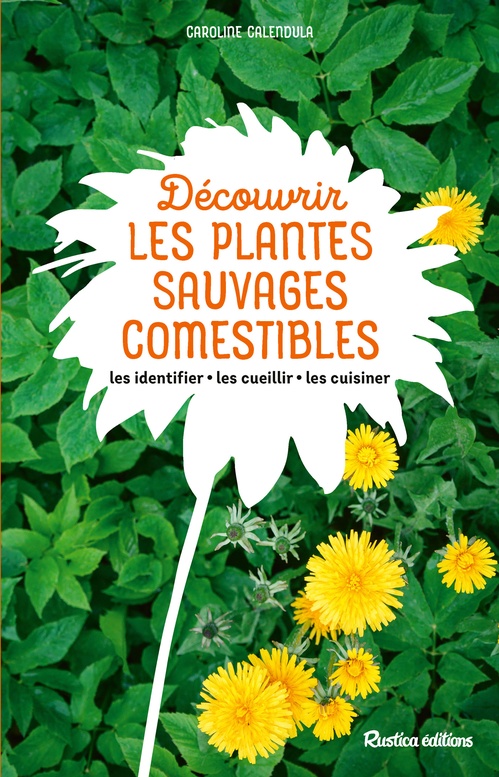 ebook cover of Découvrir les plantes sauvages comestibles, by Caroline Calendula