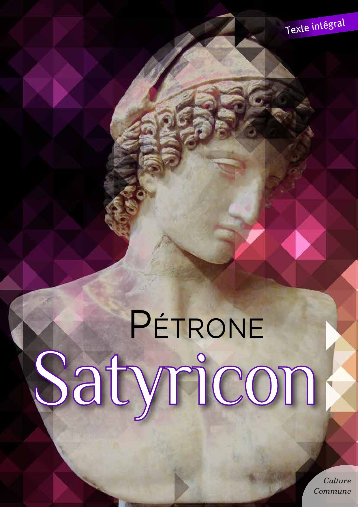 ebook cover of Satyricon, by Pétrone