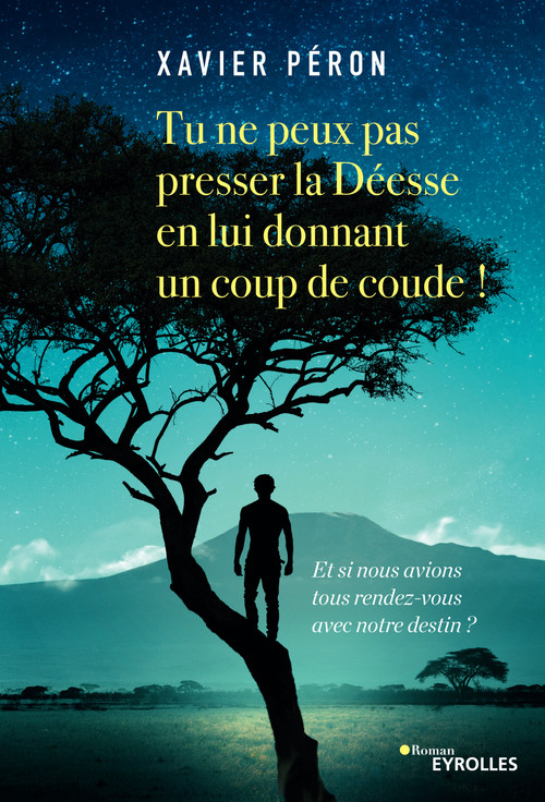 Couverture ebook de Tu ne peux pas presser la Déesse en lui donnant un coup de coude !, de Xavier Péron