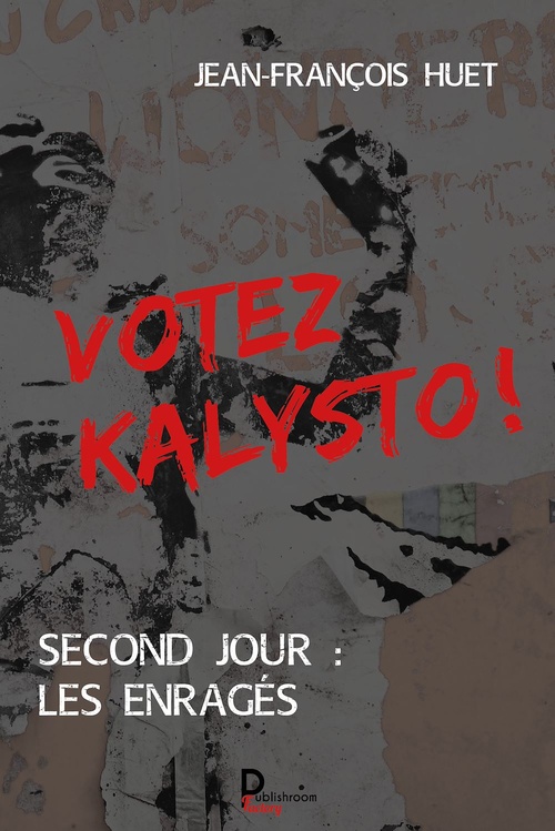 ebook cover of Votez Kalysto ! - Tome 2, by Jean-François Huet