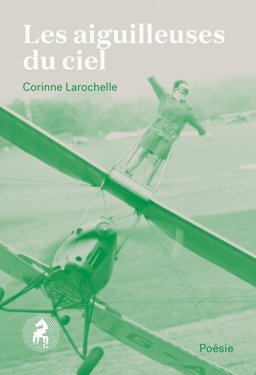 ebook cover of Les aiguilleuses du ciel, by Corinne Larochelle