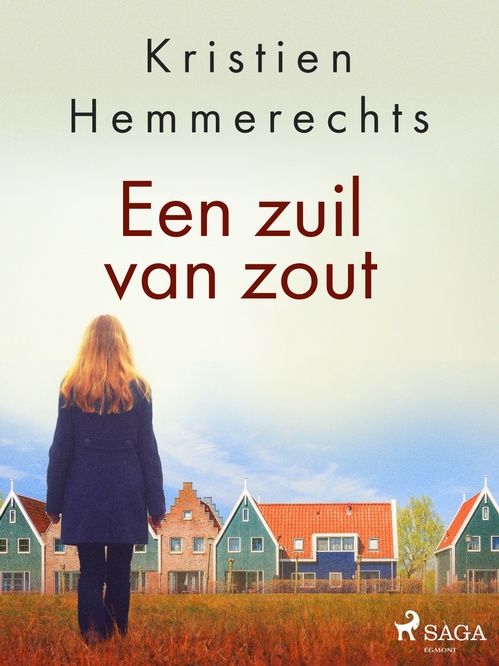 Couverture ebook de Een zuil van zout, de Kristien Hemmerechts
