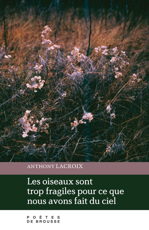 ebook cover of Les oiseaux sont trop fragiles pour ce que nous avons fait du ciel, by Anthony Lacroix