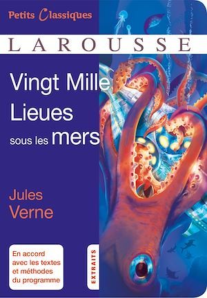 ebook cover of Vingt Mille Lieues sous les Mers, by Jules Verne