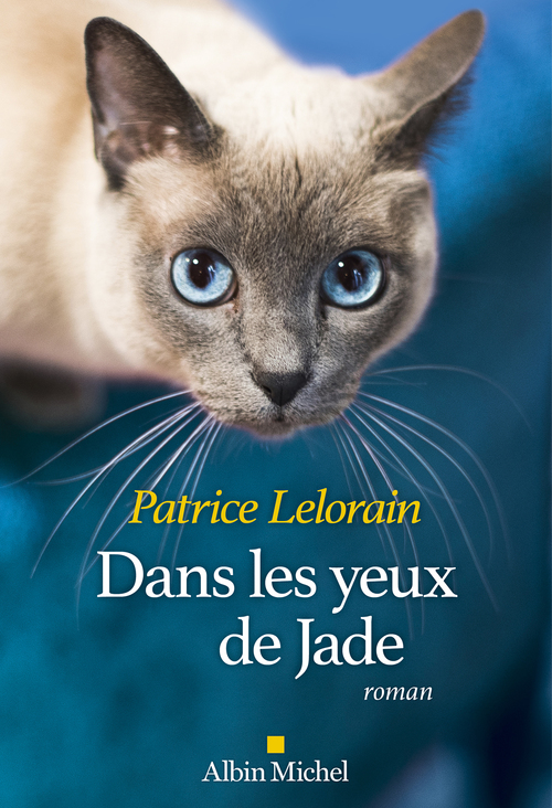 Couverture ebook de Dans les yeux de Jade, de Patrice Lelorain