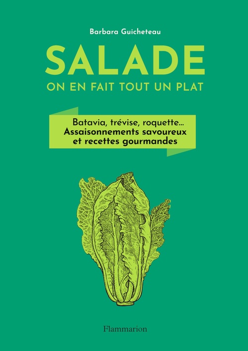 Couverture ebook de Salade, on en fait tout un plat, de Barbara Guicheteau
