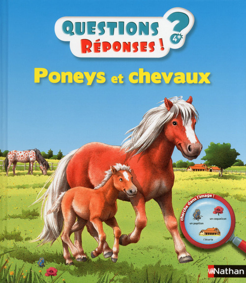 Couverture ebook de Chevaux et poneys, de Anne-Sophie Baumann