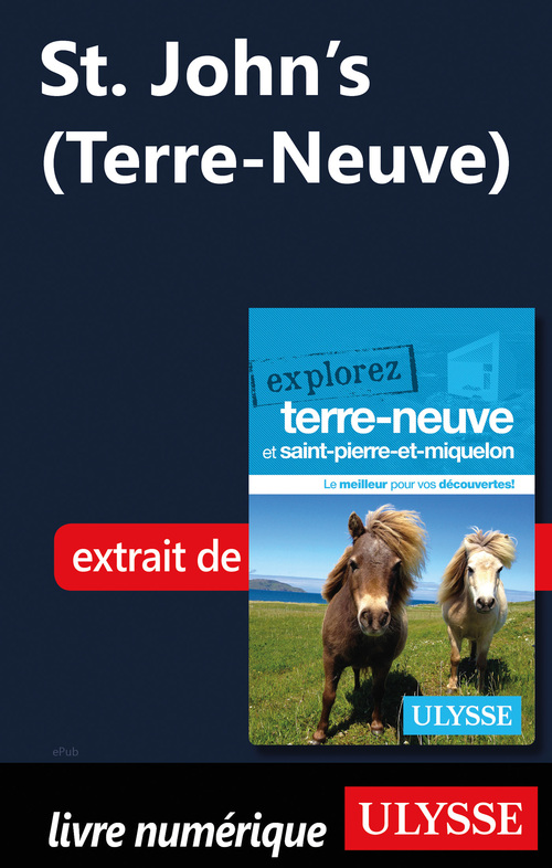 ebook cover of St. John's (Terre-Neuve), by Benoit Prieur, Frederique Sauvee