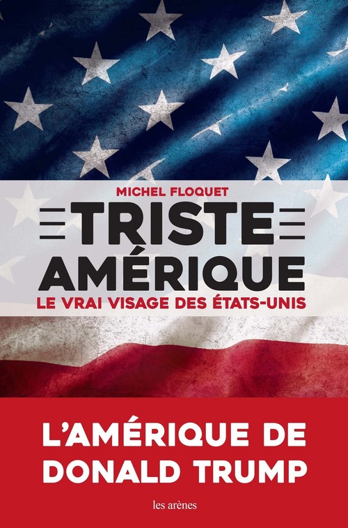 ebook cover of Triste Amérique, by Michel Floquet