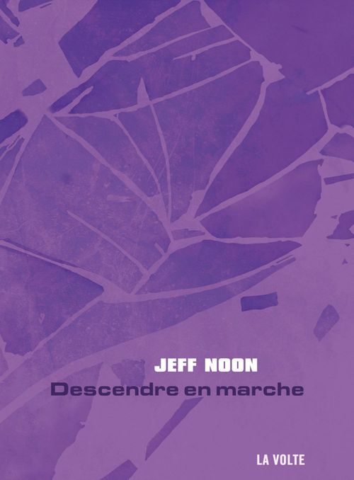 ebook cover of Descendre en marche, by Jeff Noon