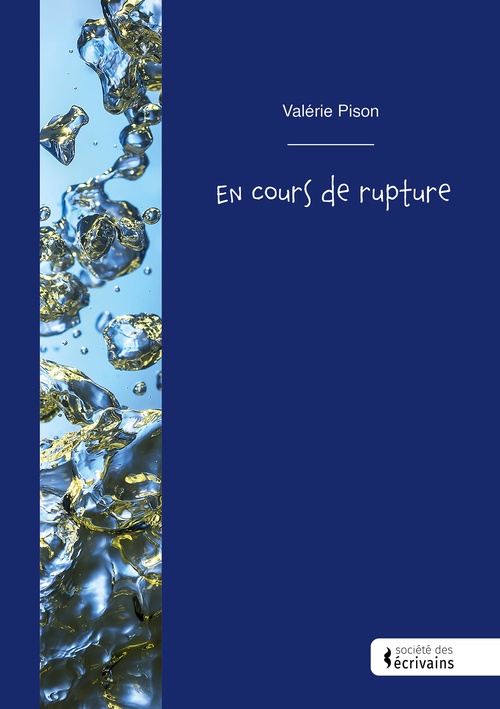 ebook cover of En cours de rupture, by Valérie Pison