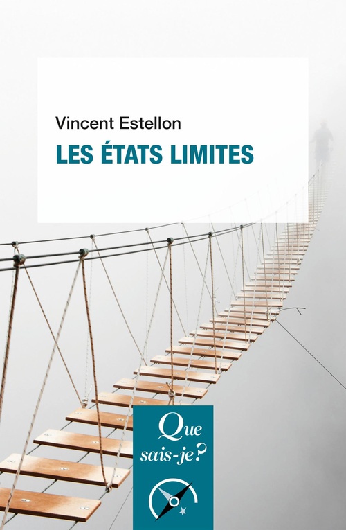 ebook cover of Les États limites, by Vincent Estellon