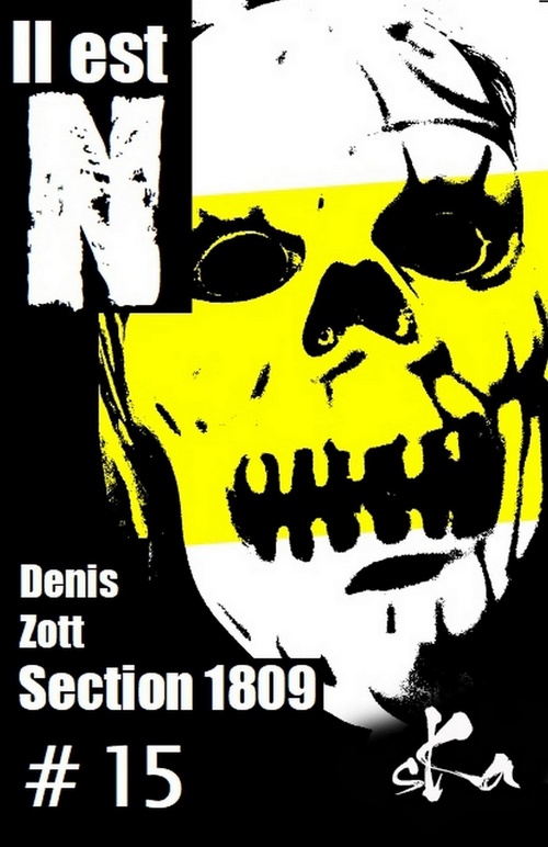 ebook cover of Section 1809 #15, by Denis Zott