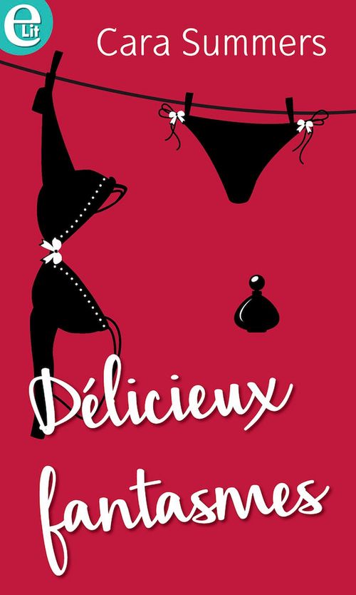 Couverture ebook de Délicieux fantasmes, de Cara Summers