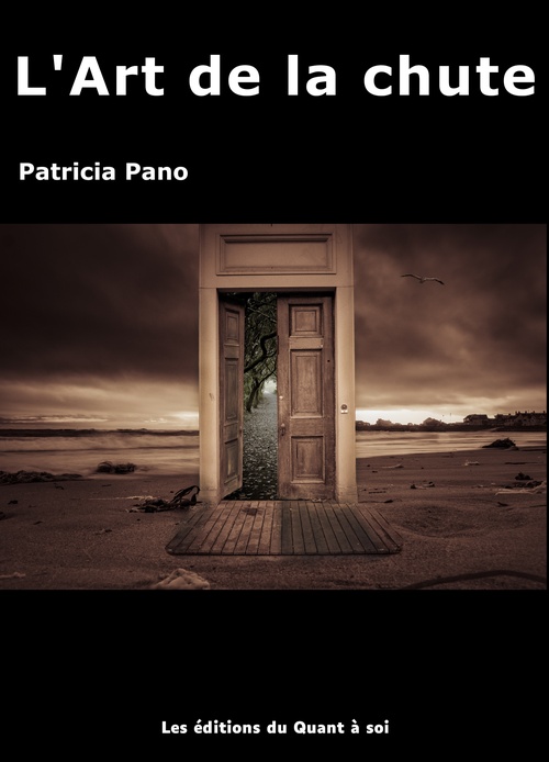 ebook cover of L´Art de la chute, by Patricia Pano