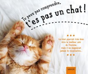 Couverture ebook de Tu peux pas comprendre, t'es pas un chat !, de Alice Zabée