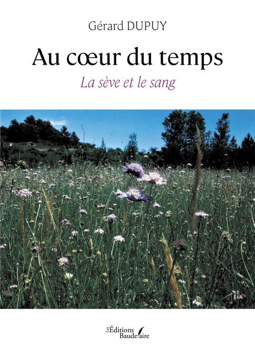Couverture ebook de Au coeur du temps, de Gérard Dupuy
