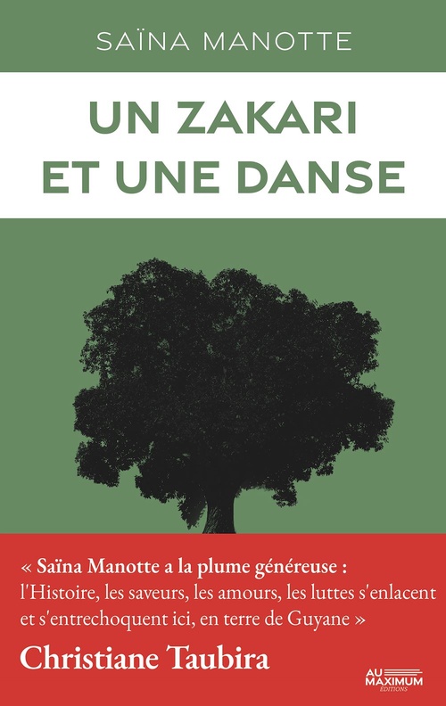 ebook cover of Un zakari et une danse, by Saïna Manotte
