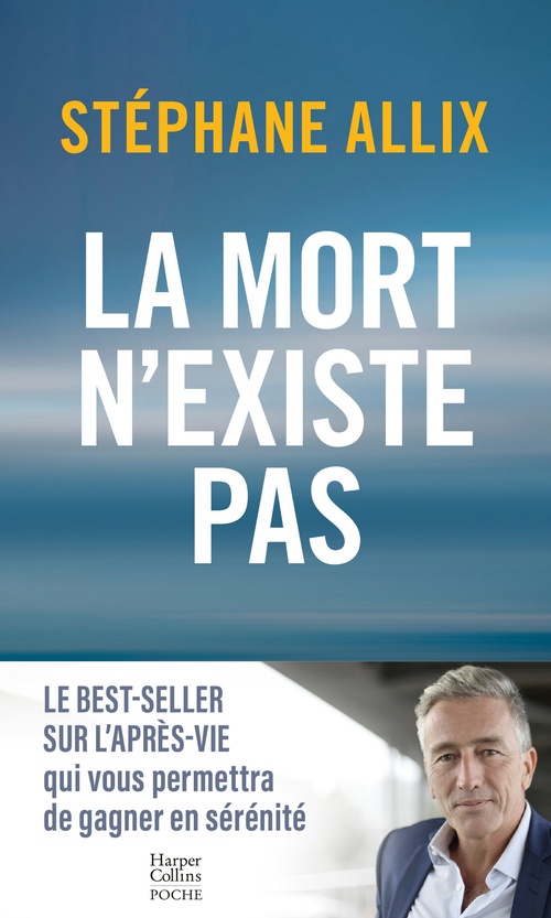 ebook cover of La mort n'existe pas, by Stéphane Allix
