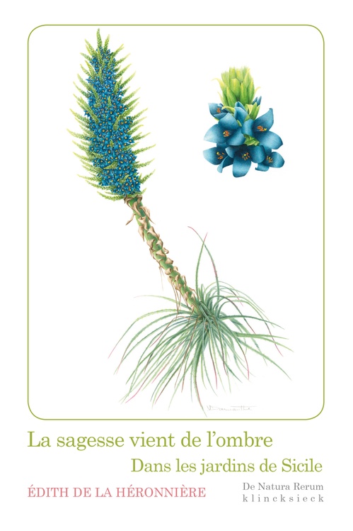 ebook cover of La sagesse vient de l´ombre, by Edith de La Héronnière
