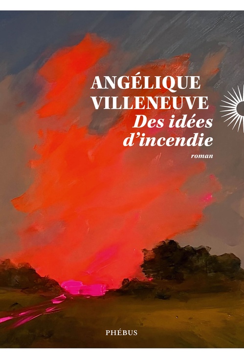 ebook cover of Des idées d'incendie, by Angélique Villeneuve