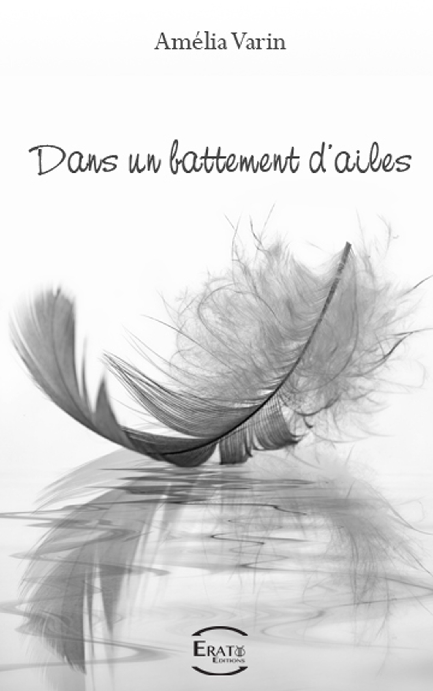 ebook cover of Dans un battement d'ailes, by Amélia Varin