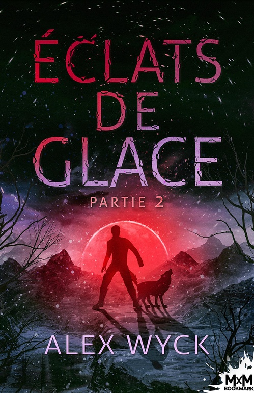 Couverture ebook de Éclats de glace - Partie 2, de Alex Wyck