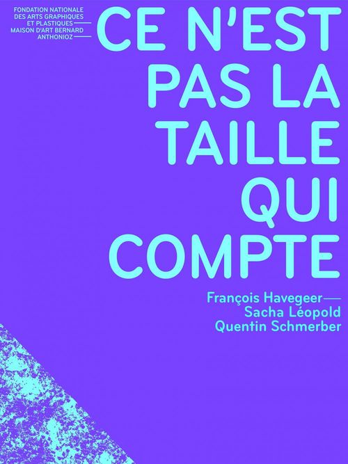 ebook cover of Ce n'est pas la taille qui compte, by
