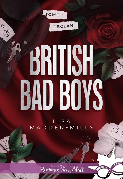 ebook cover of Declan, by Ilsa Madden-Mills