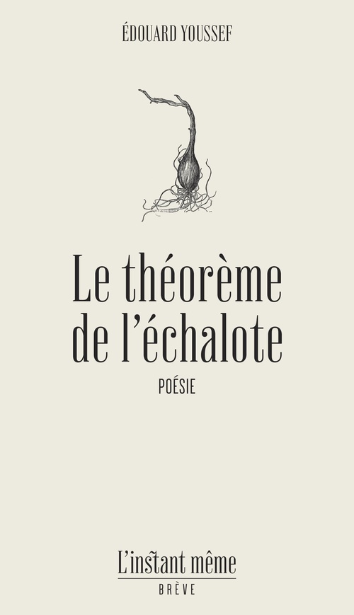 Couverture ebook de Le théorème de l'échalote, de Édouard Youssef