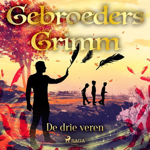 audiobook cover of De drie veren, by De Gebroeders Grimm