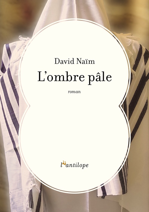 Couverture ebook de L'ombre pâle, de David NAÏM