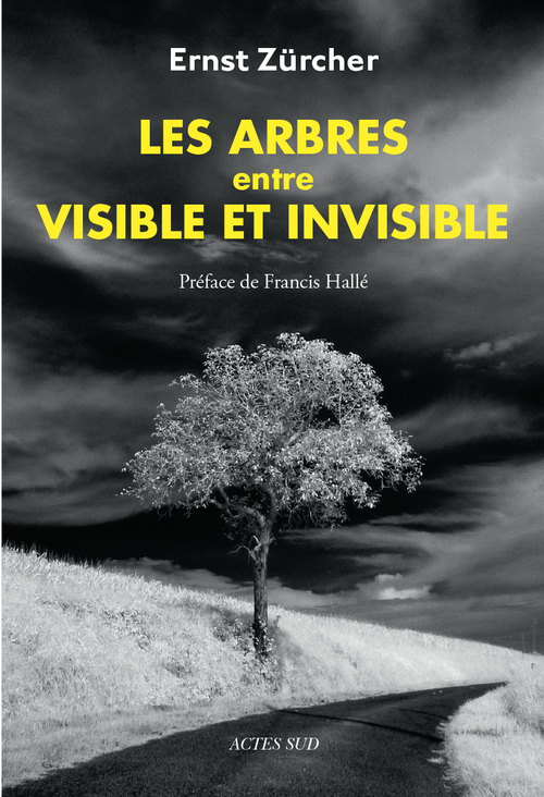 Couverture ebook de Les Arbres, entre visible et invisible, de Nadine Cantaloube, Ernst Zürcher