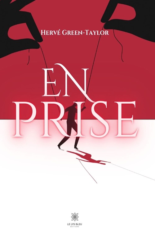 Couverture ebook de En prise, de Hervé Green-Taylor