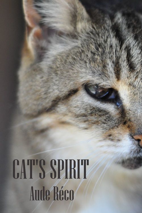 ebook cover of Cat's spirit, by Aude Reco