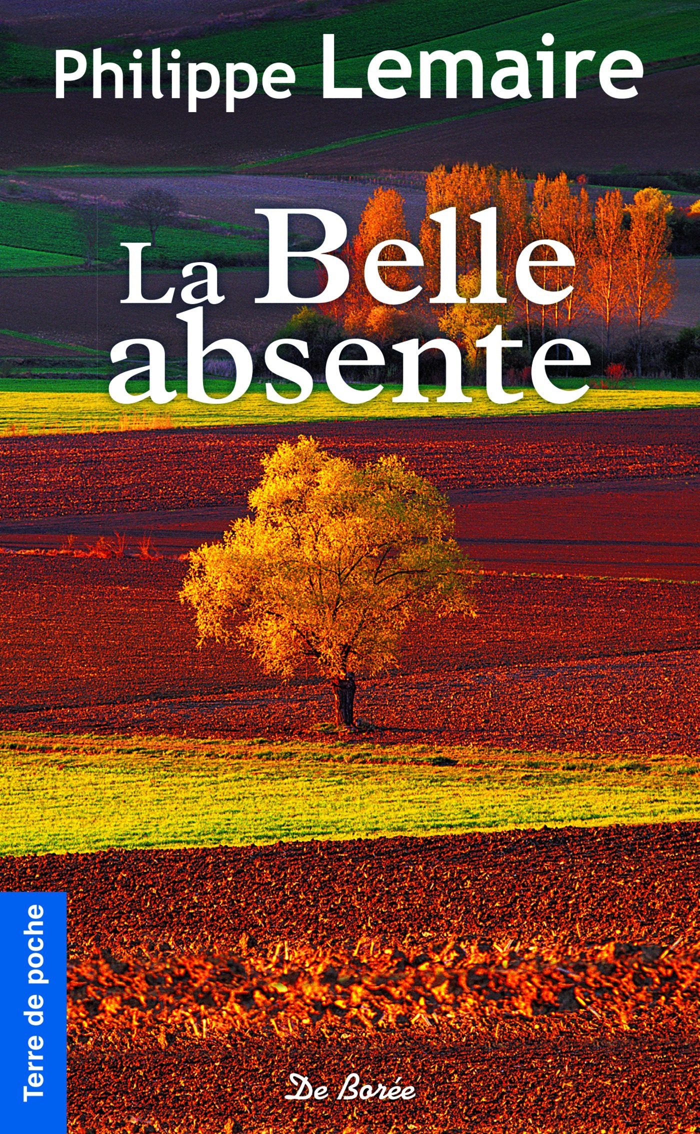 ebook cover of La Belle absente, by Philippe Lemaire