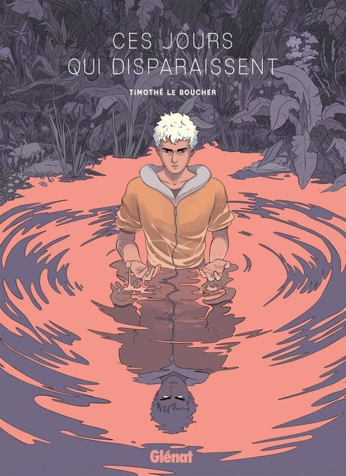 Couverture ebook de Ces jours qui disparaissent, de Timothé Le Boucher