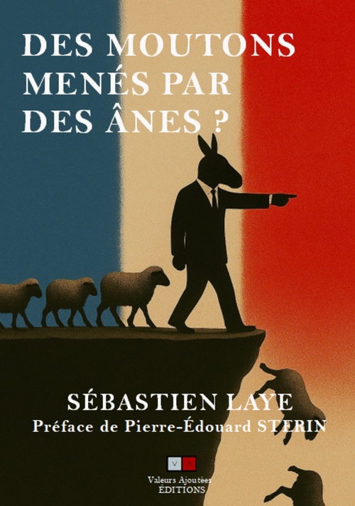 ebook cover of Des moutons menés par des ânes ?, by Sébastien Laye
