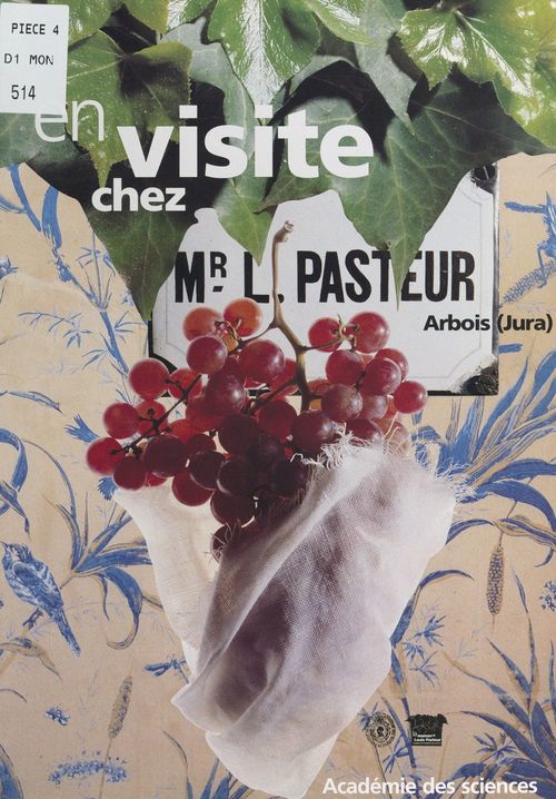 ebook cover of En visite chez Monsieur Louis Pasteur, by Christiane Demeulenaere-Douyere