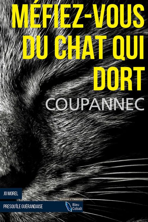 ebook cover of Méfiez-vous du Chat qui dort, by Roger Coupannec