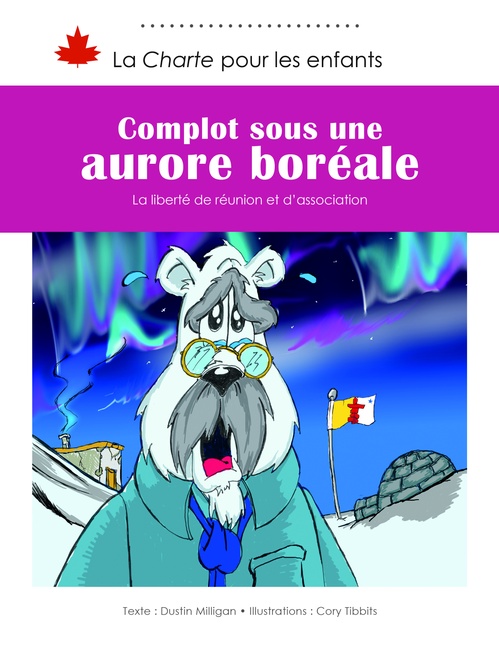 ebook cover of Complot sous une aurore boréale, by Dustin Milligan