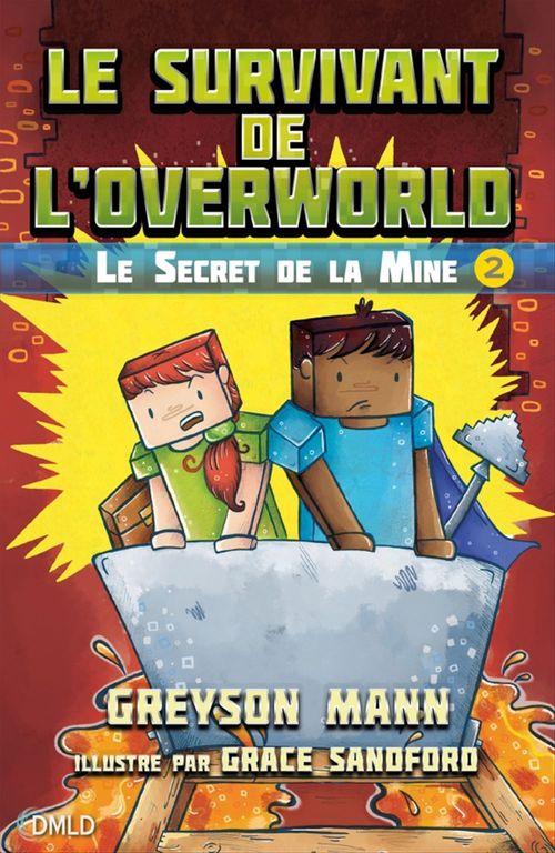 ebook cover of Le survivant de l'Overworld T2, by Greyson Mann