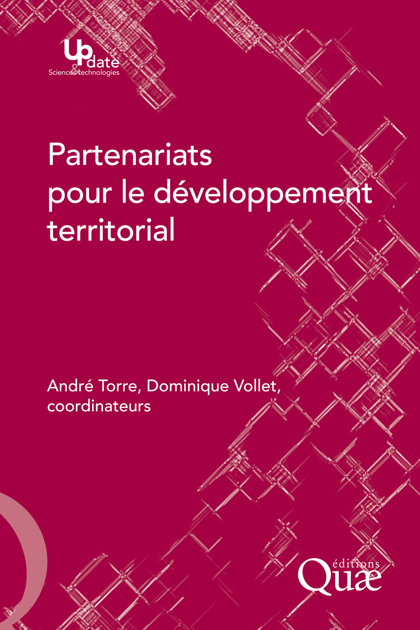 Couverture ebook de Partenariats pour le developpement territorial, de André Torre, Dominique Vollet