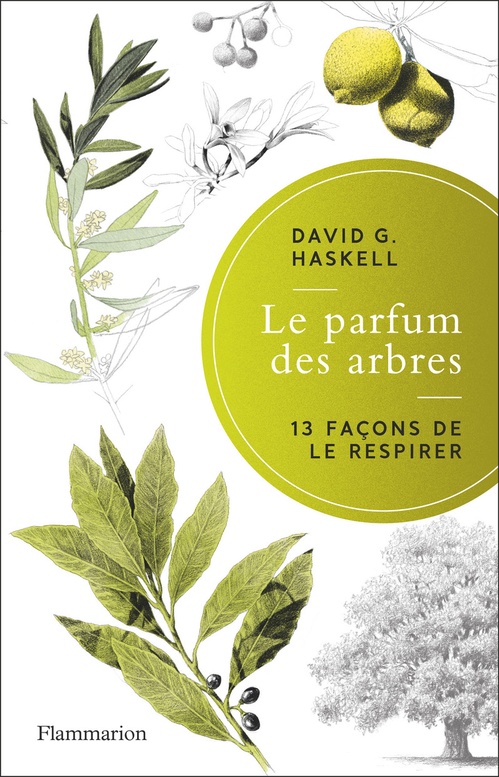 Couverture ebook de Le parfum des arbres, de David g. Haskell