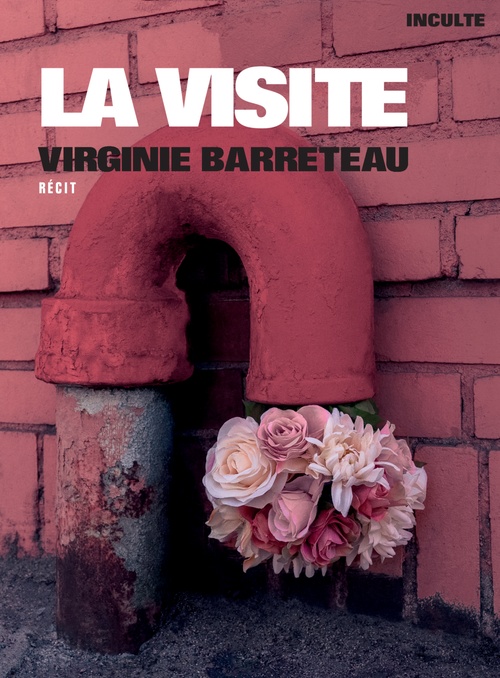 ebook cover of La Visite, by Virginie Barreteau