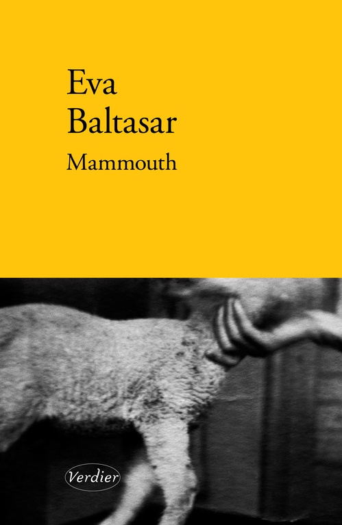 Couverture ebook de Mammouth, de Eva Baltasar