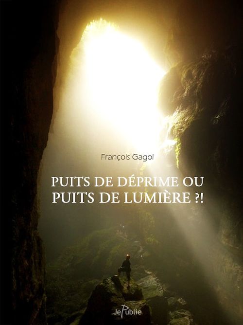 ebook cover of Puits de déprime ou puits de lumière ?!, by François Gagol